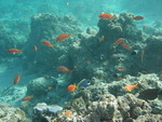 Reethi-Beach-2007-260.jpg