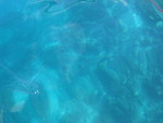Reethi-Beach-2007-280.jpg