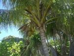 Reethi-Beach-2007-284.jpg
