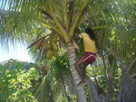 Reethi-Beach-2007-285.jpg