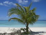 Reethi-Beach-2007-286.jpg