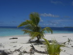 Reethi-Beach-2007-287.jpg