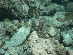 Reethi-Beach-2007-291.jpg