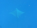 Reethi-Beach-2007-292.jpg