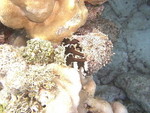 Reethi-Beach-2007-303.jpg