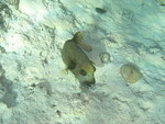 Reethi-Beach-2007-304.jpg