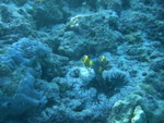 Reethi-Beach-2007-305.jpg