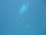 Reethi-Beach-2007-306.jpg