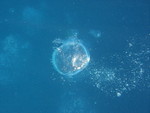 Reethi-Beach-2007-310.jpg