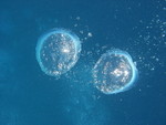Reethi-Beach-2007-311.jpg