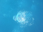 Reethi-Beach-2007-313.jpg