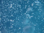 Reethi-Beach-2007-314.jpg