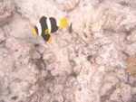Reethi-Beach-2007-315.jpg