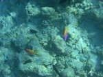 Reethi-Beach-2007-321.jpg