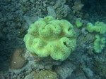 Reethi-Beach-2007-322.jpg