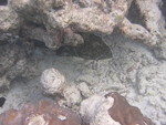 Reethi-Beach-2007-327.jpg