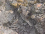 Reethi-Beach-2007-329.jpg