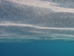 Reethi-Beach-2007-336.jpg