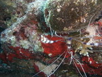 Reethi-Beach-2007-340.jpg