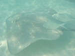 Reethi-Beach-2007-349.jpg