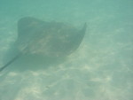Reethi-Beach-2007-350.jpg
