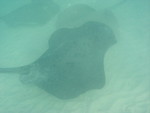 Reethi-Beach-2007-351.jpg