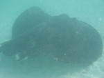 Reethi-Beach-2007-352.jpg