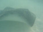 Reethi-Beach-2007-353.jpg