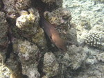 Reethi-Beach-2007-360.jpg