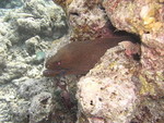 Reethi-Beach-2007-362.jpg