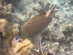 Reethi-Beach-2007-369.jpg