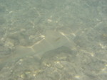 Reethi-Beach-2007-373.jpg