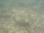 Reethi-Beach-2007-375.jpg