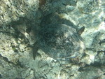 Reethi-Beach-2007-380.jpg