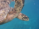Reethi-Beach-2007-383.jpg