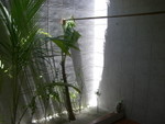 Reethi-Beach-2007-384.jpg