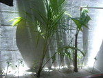 Reethi-Beach-2007-388.jpg