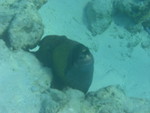 Reethi-Beach-2007-394.jpg