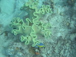 Reethi-Beach-2007-395.jpg