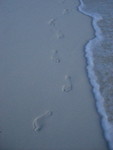 Reethi-Beach-2007-411.jpg